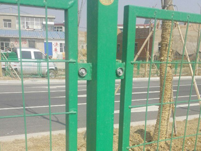 安徽蚌埠黄山大道绿化隔离项目